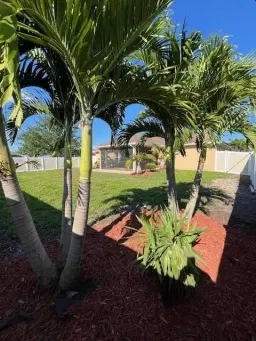 Picture of 614 SW 18Th Ct, Cape Coral, FL 33991