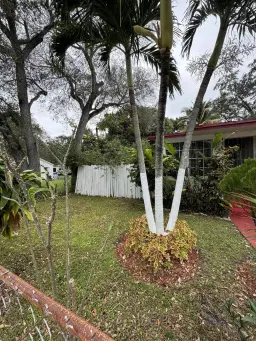 Picture of 2711 NW 169Th Terrace, Miami Gardens, FL 33056