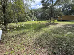 Picture of 4776 Timothy Street, Middleburg, FL 32068