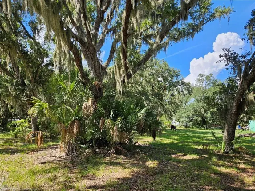 Picture of 275 Doe Run, Lorida FL 33857