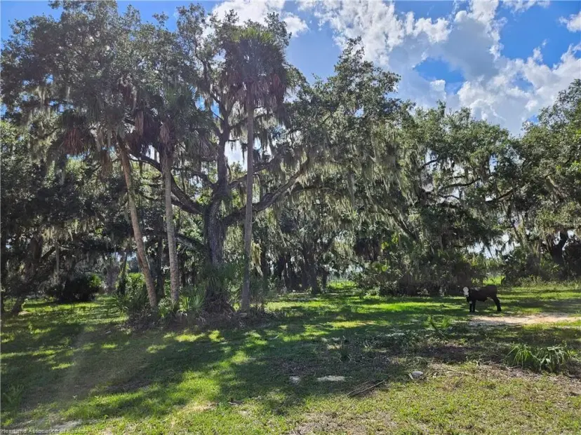 Picture of 275 Doe Run, Lorida FL 33857