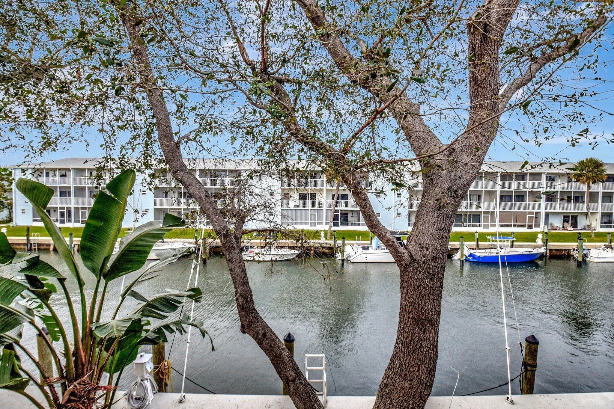 Picture of 1125 Lake Shore Drive 203, Lake Park, FL 33403