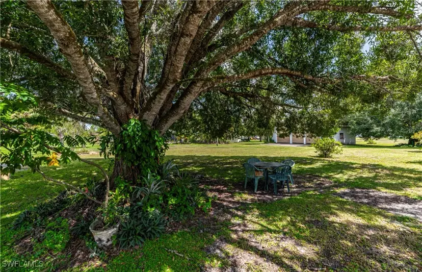 Picture of 1038 Seminole Cir, Moore Haven FL 33471