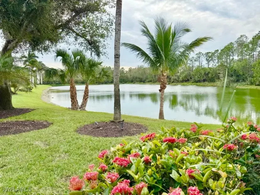 Picture of 8064 Tiger Lily Dr, Naples FL 34113