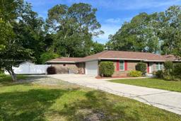 Picture of 12052 Royal Fern Lane, Jacksonville, FL 32223