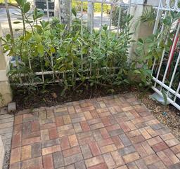 Picture of 2253 NW 170Th Ave, Pembroke Pines, FL 33028