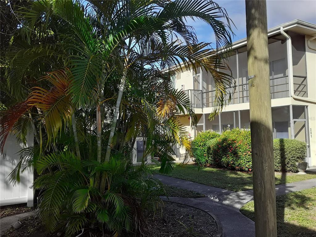 Picture of 5380 4Th Street N Unit 203, St Petersburg, FL 33703