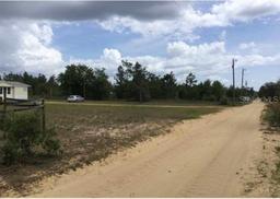 Picture of 20028 Brandon Road, Fountain, FL 32438