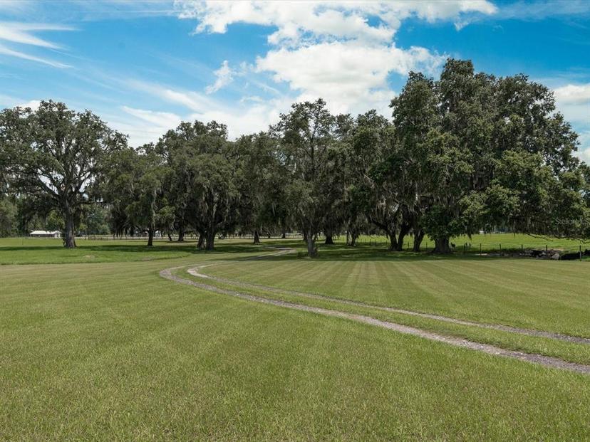 Picture of 7125 County Road 214, Melrose FL 32666