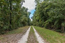 Picture of 5650 NE 150Th Avenue, Williston, FL 32696