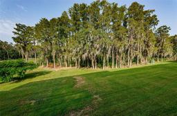 Picture of 36750 Us Highway 19 N Unit 3-209, Palm Harbor, FL 34684