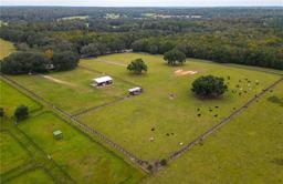 Picture of 6677 W Highway 318, Reddick, FL 32686