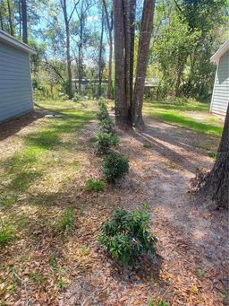 Picture of 24309 NW 189Th Avenue, High Springs, FL 32643