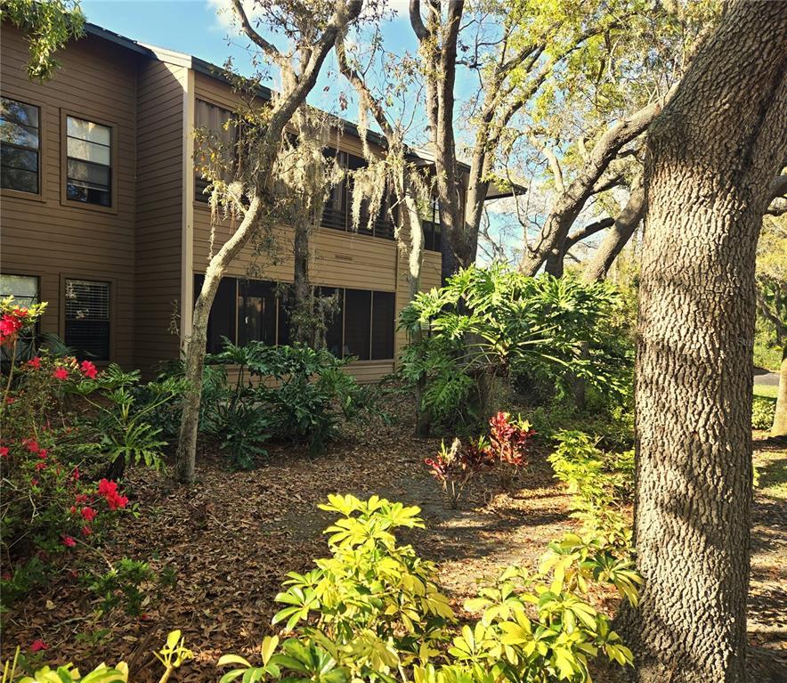 Picture of 103 Cypress Pond Road Unit 103, Palm Harbor, FL 34683