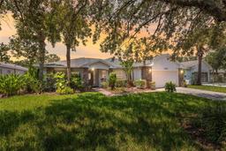 Picture of 10637 Collar Drive, San Antonio, FL 33576