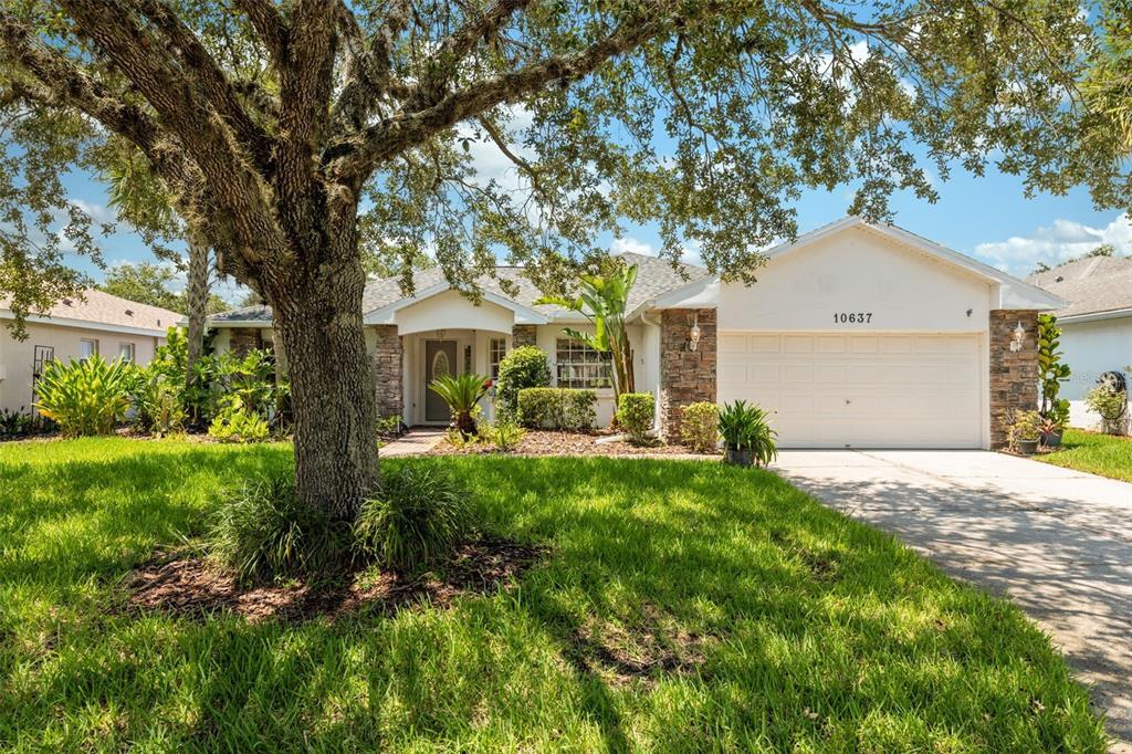 Picture of 10637 Collar Drive, San Antonio, FL 33576