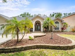 Picture of 4942 Felecity Way, Palm Harbor, FL 34685