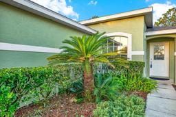 Picture of 3211 Banyan Hill Lane, Land O Lakes, FL 34639