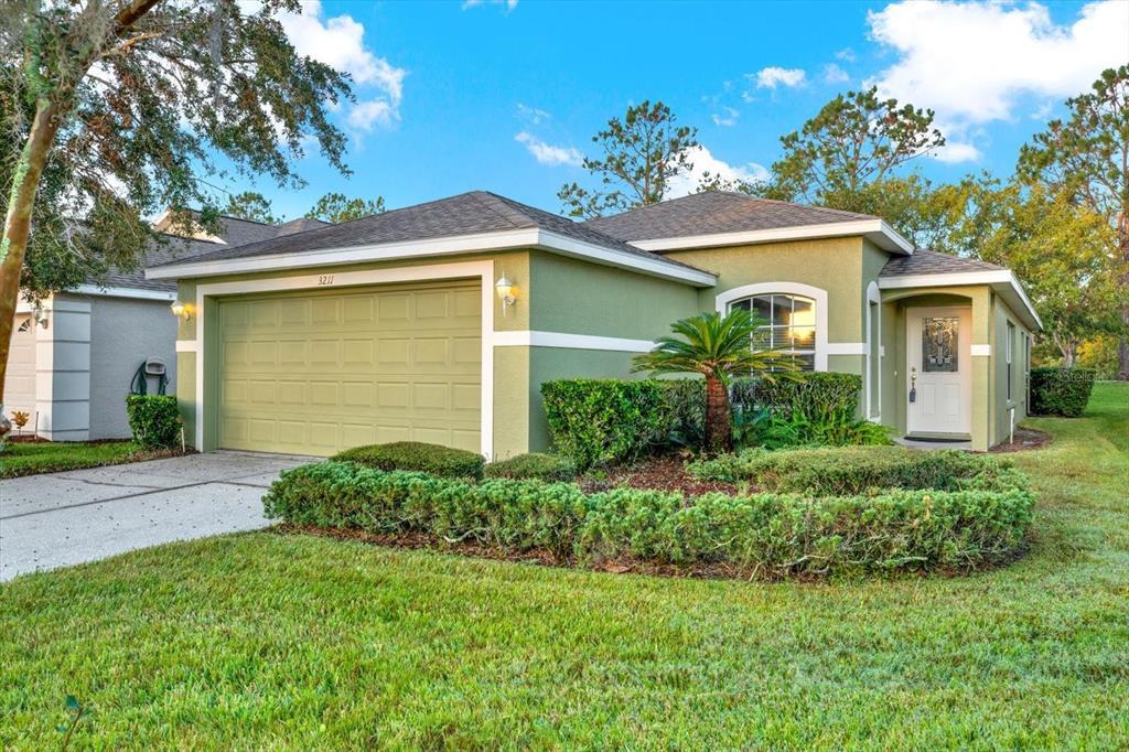 Picture of 3211 Banyan Hill Lane, Land O Lakes, FL 34639