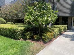 Picture of 36750 Us Highway 19 N Unit 15-310, Palm Harbor, FL 34684