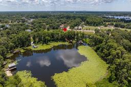 Picture of 503 W Lutz Lake Fern Road, Lutz, FL 33548