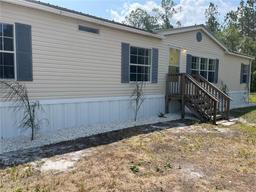 Picture of 10350 Beckenger Avenue, Hastings, FL 32145