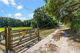 Picture of 4242 Griffin View Drive, Lady Lake, FL 32159