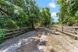 Picture of 4242 Griffin View Drive, Lady Lake, FL 32159