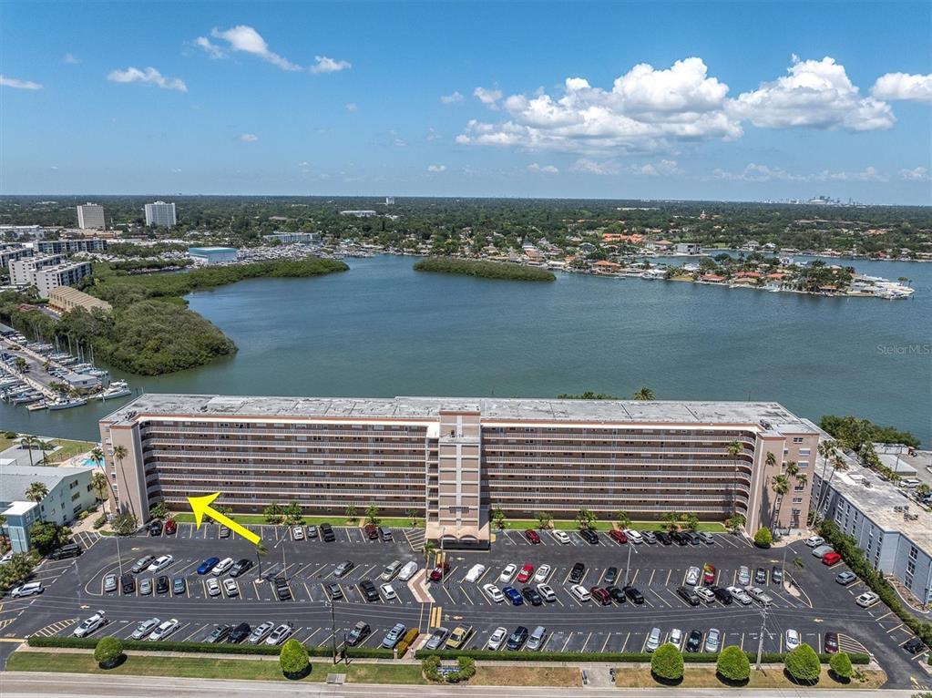 Picture of 1847 Shore Drive S Unit 202, South Pasadena, FL 33707