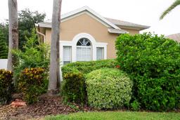 Picture of 8729 Torchwood Drive, Trinity, FL 34655