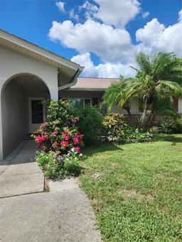 Picture of 119 Stafford Drive, Palm Harbor, FL 34684