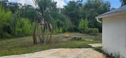 Picture of 4375 Lindsey Loop, Dover, FL 33527