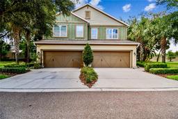 Picture of 17012 Vilesta Drive, Lutz, FL 33548