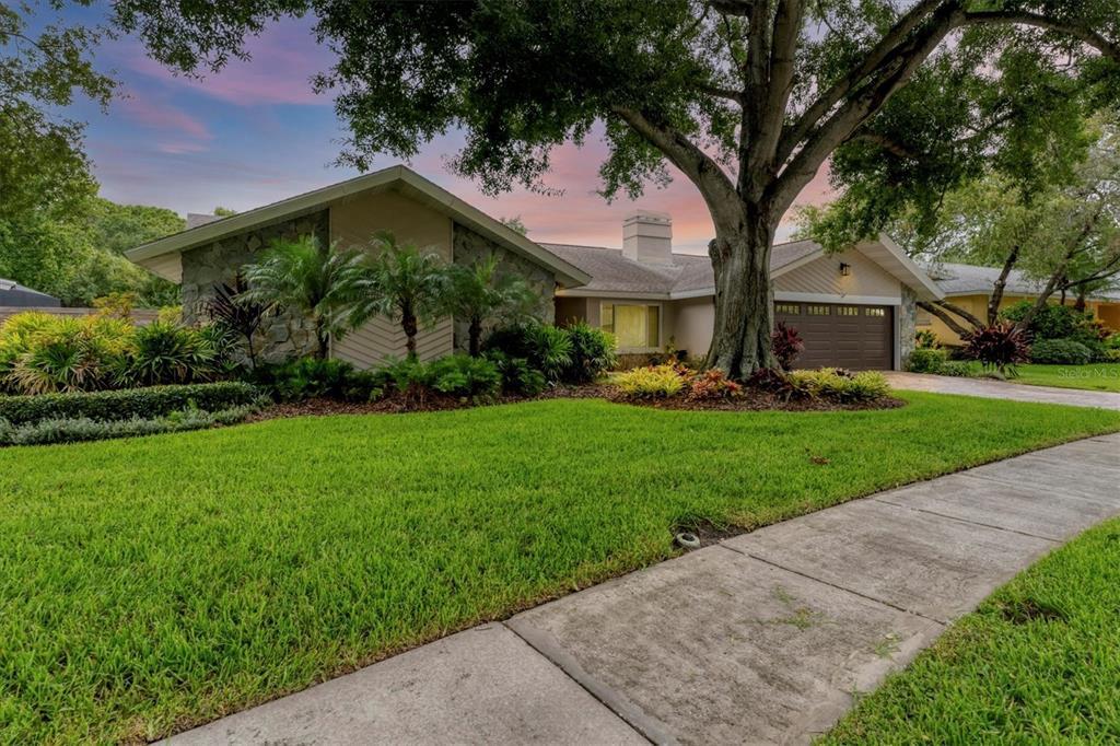 Picture of 4302 Deepwater Lane, Tampa, FL 33615