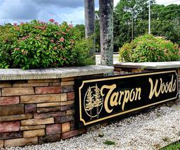 Picture of 3529 Tanglewood Trail, Palm Harbor, FL 34685