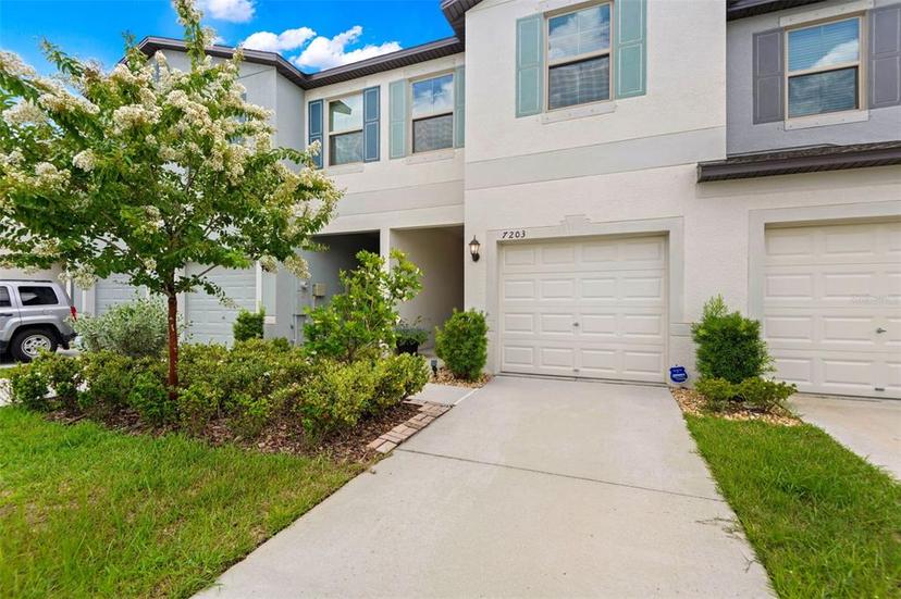 Picture of 7203 Sweet Alyssum Court, Tampa FL 33619