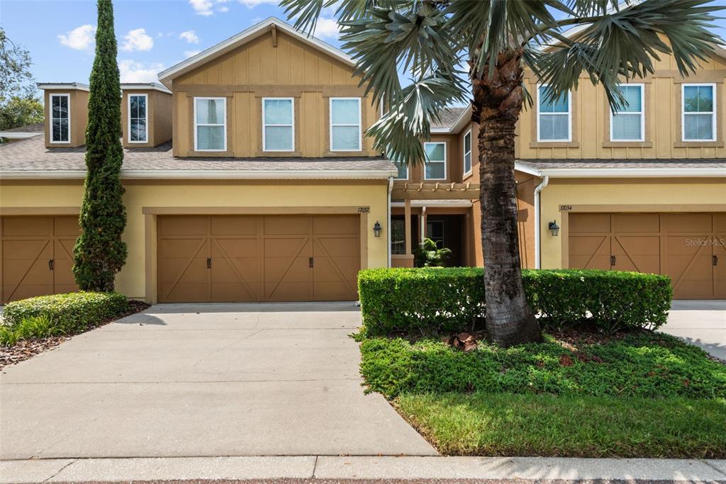 Picture of 17032 Vilesta Drive, Lutz, FL 33548