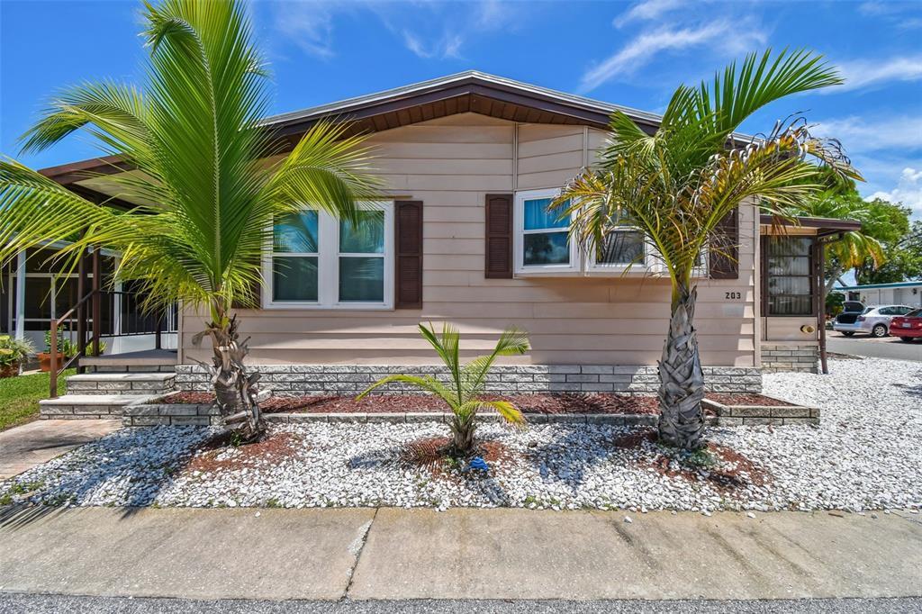 Picture of 203 Dolphin Drive N, Oldsmar, FL 34677