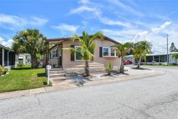 Picture of 203 Dolphin Drive N, Oldsmar, FL 34677