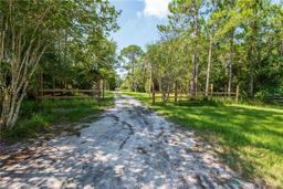 Picture of 895 Cowpen Road, Osteen, FL 32764