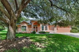 Picture of 36649 Sundance Drive, Grand Island, FL 32735