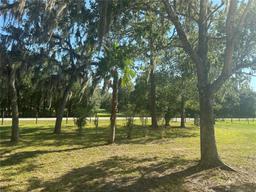 Picture of 16149 Coastal Plain Drive, Spring Hill, FL 34610