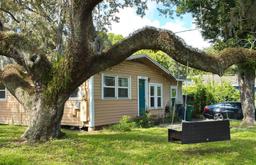 Picture of 1313 E New Orleans Avenue, Tampa, FL 33603