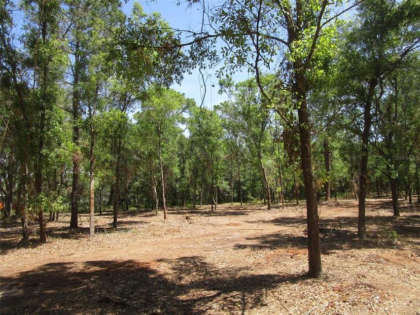 Picture of 0 Castlewood Road Lot 3, Seffner FL 33584