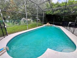 Picture of 2556 Bear Creek Ct, Kissimmee, FL 34747