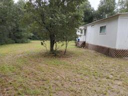 Picture of 11111 NE 101St Terrace, Archer, FL 32618