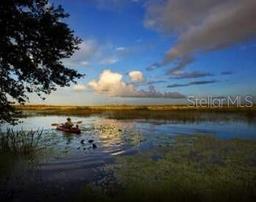 Picture of 16041 Scaup Duck Avenue, Weeki Wachee, FL 34614