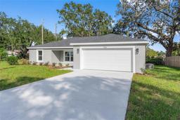 Picture of 1366 Peters Drive, Leesburg, FL 34748