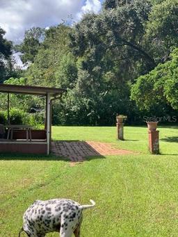 Picture of 2705 Ranch Road, Dover, FL 33527