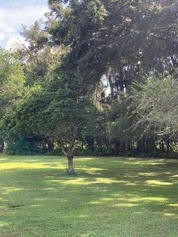 Picture of 2705 Ranch Road, Dover, FL 33527